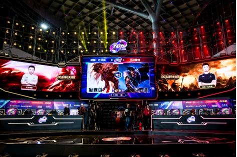 荷兰新星蓄 荷兰新星蓄