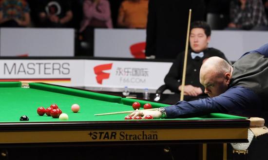 荷兰新星蓄 荷兰新星蓄