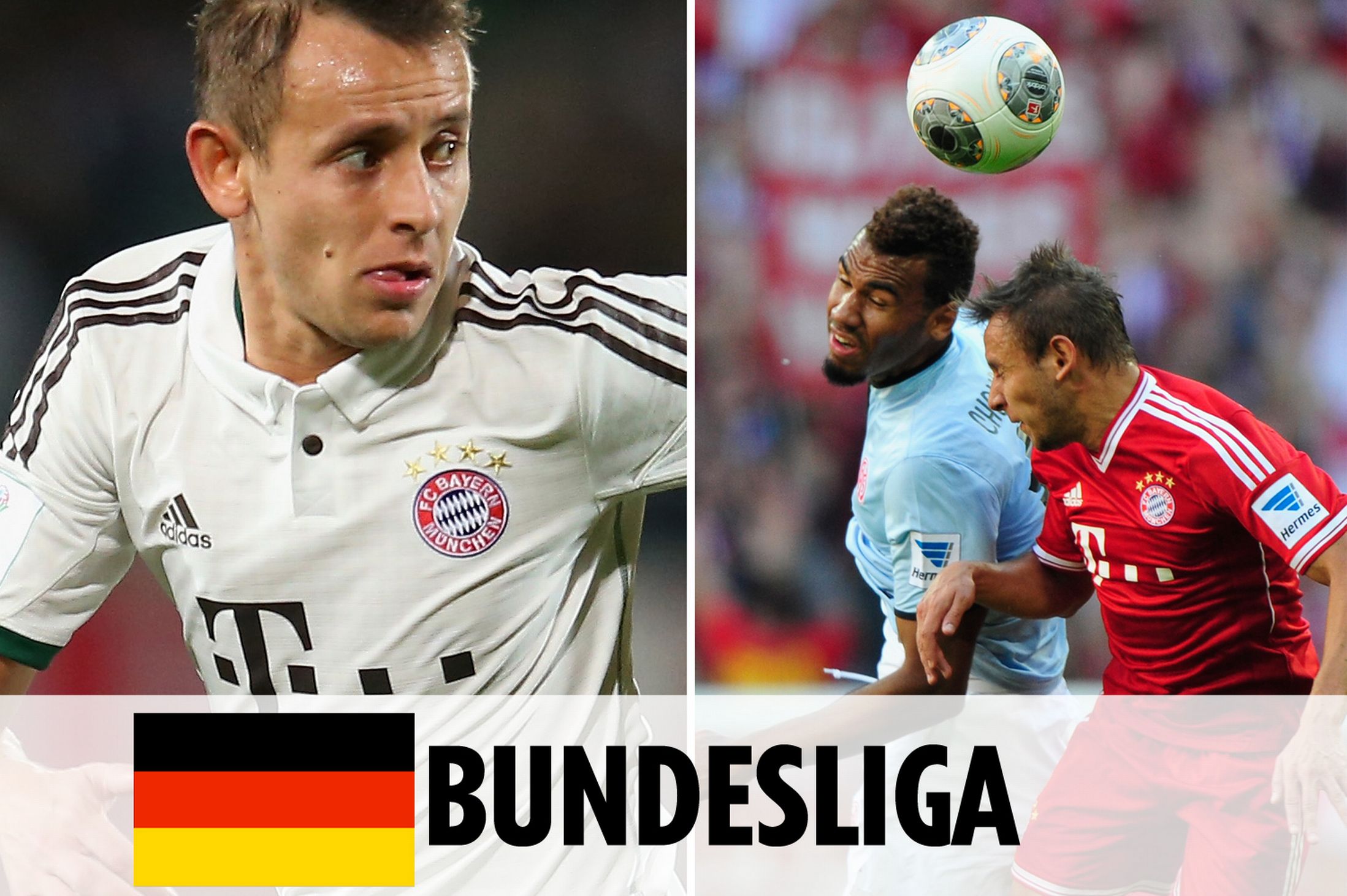 选手与裁判 选手与裁判