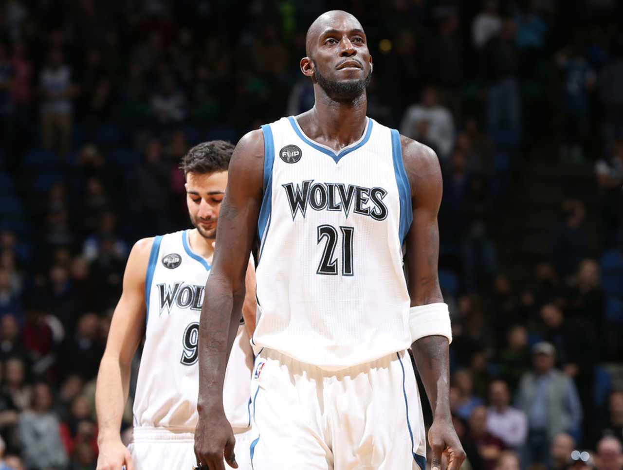 三角草皮的 三角草皮的